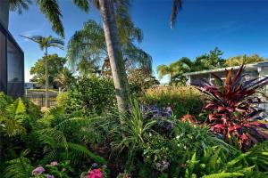 tropical_view_2